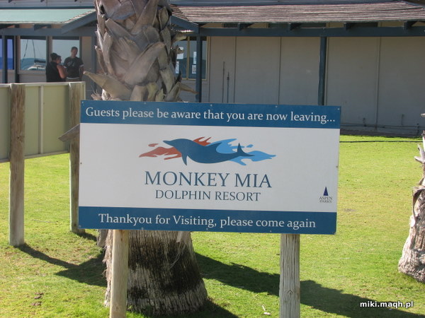 Leaving Monkey Mia