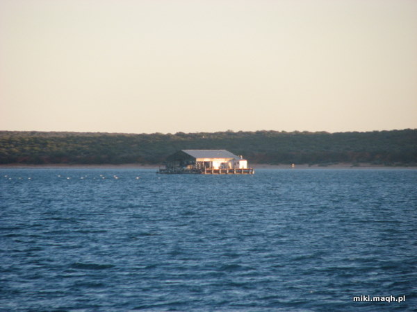 Pearl Farm