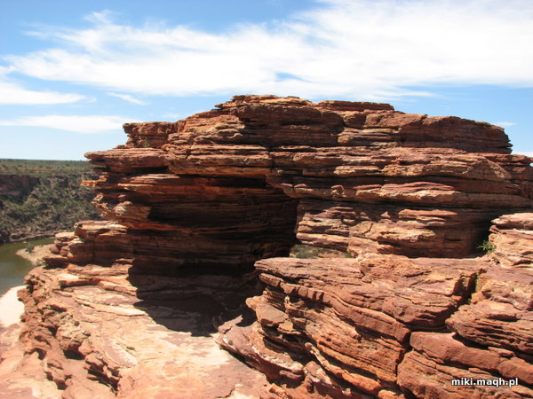 Nature's Window