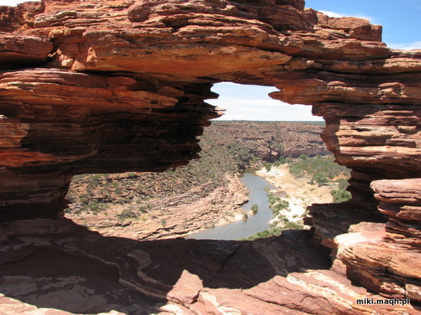 Nature's Window