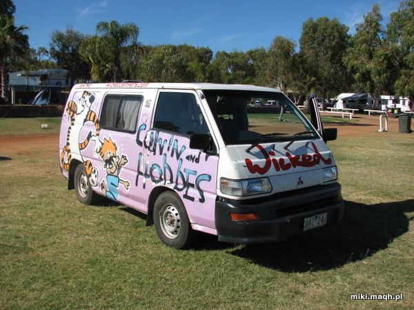 Nasz van