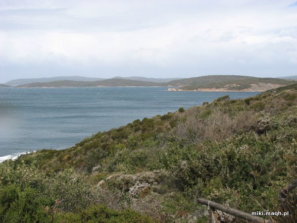 Spogladajac na poludnie