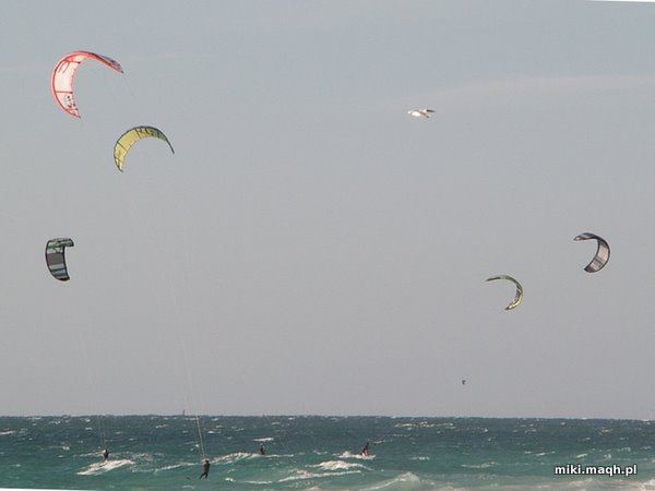 Kite surfers at Floreat Beach