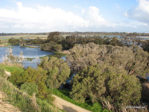 Looking south