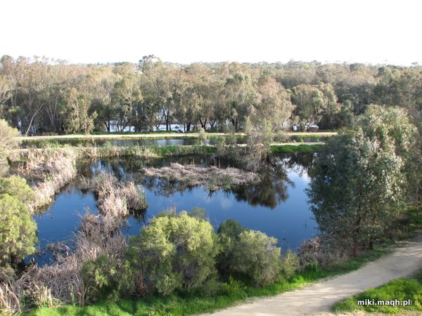 Looking west