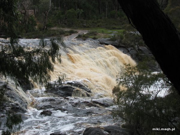 Fernhook Falls