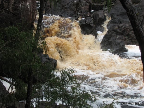 Fernhook Falls