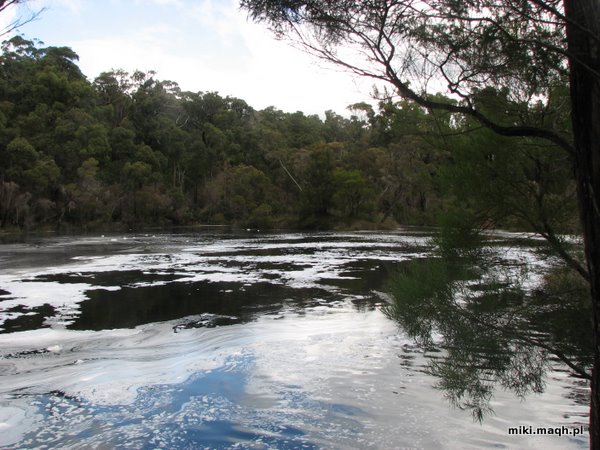 Fernhook Falls