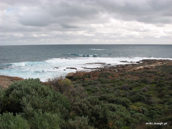 Indian Ocean