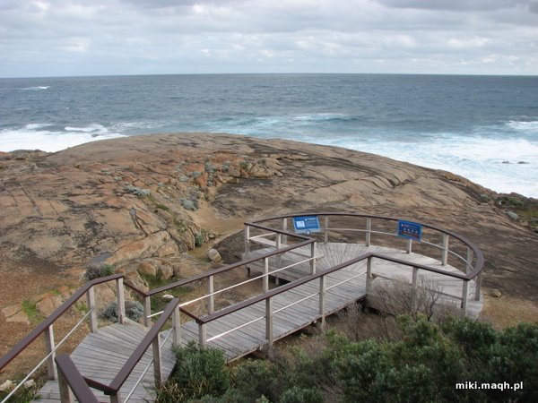 Southern Ocean
