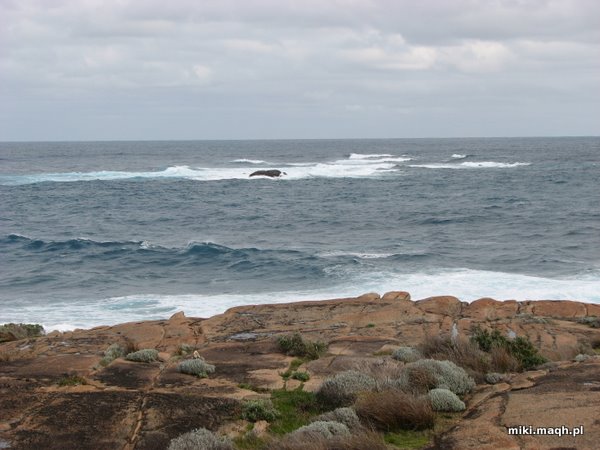 Indian Ocean