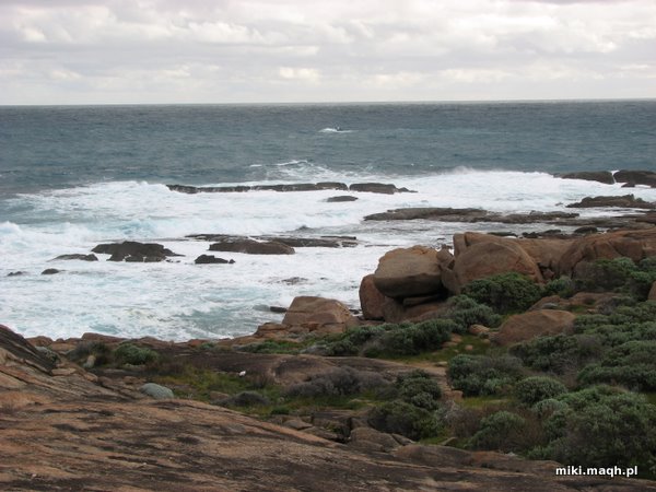 Indian Ocean