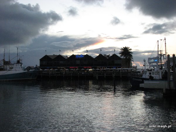 Freo