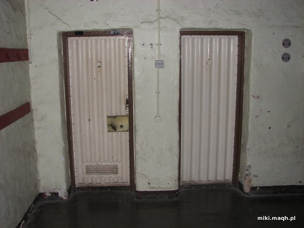 Cell doors