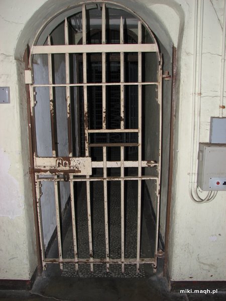 Doors between blocks