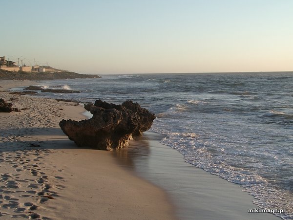 North Beach