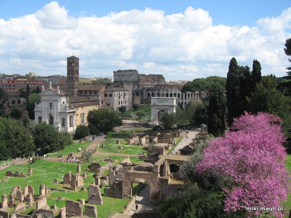 Colosseum
