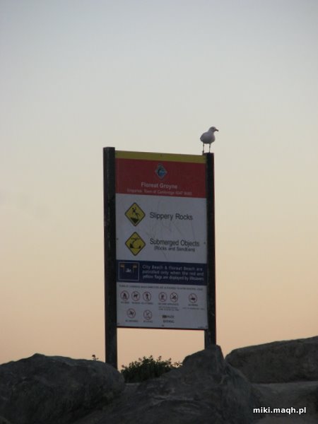 Zachod slonca na plazy city beach