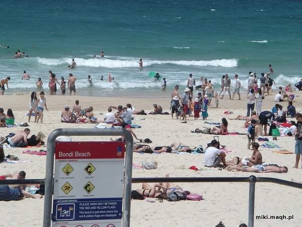 Bondi Beach