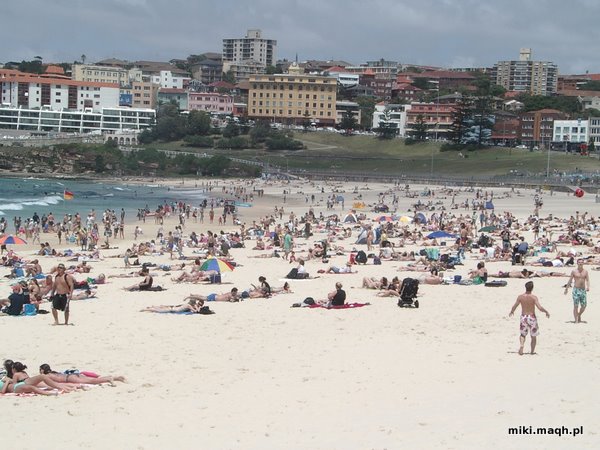 Bondi Beach