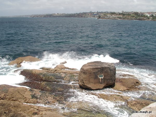 Bondi Beach