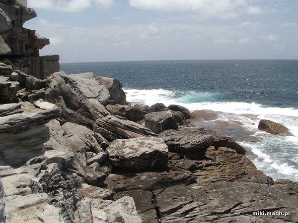 Bondi Beach