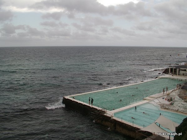 Bondi Beach
