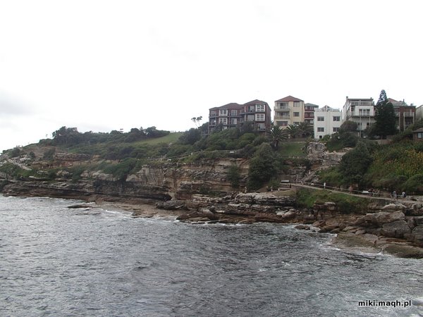 Bondi Beach