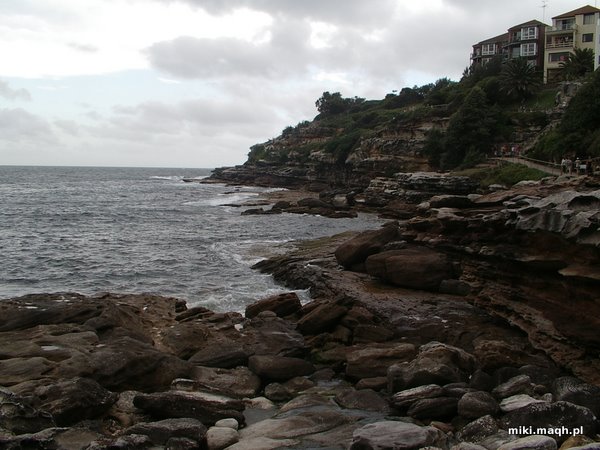 Bondi Beach