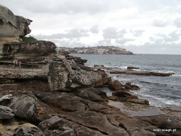 Bondi Beach