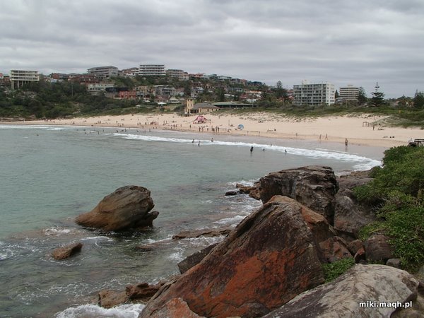 Plaza Manly