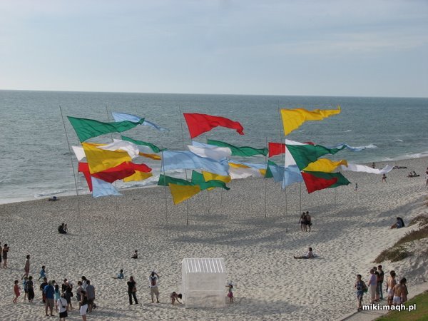 Sculpture by the Sea