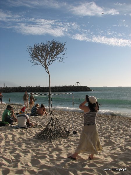 Sculpture by the Sea