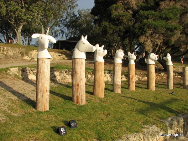 Sculpture by the Sea