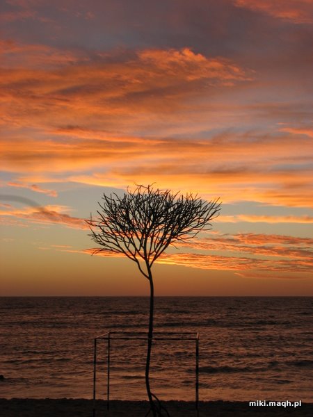Zachód słońca na plaży Cottesloe