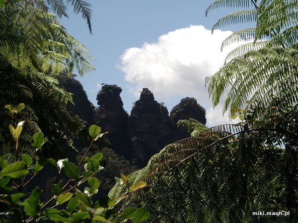Blue Mountains