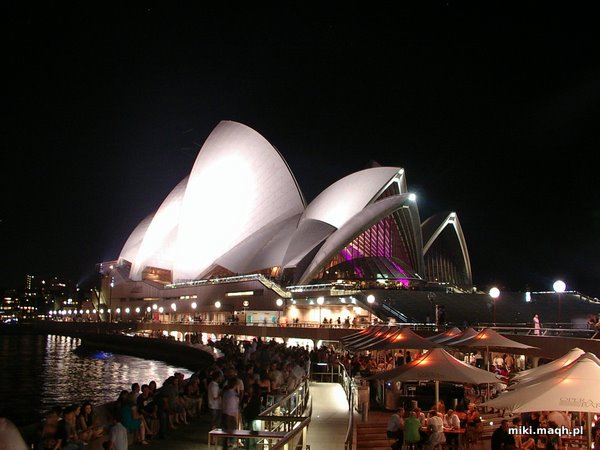 Sydney at night