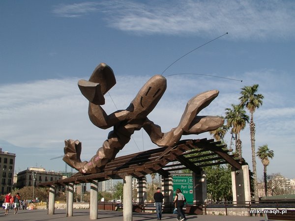 Strange statuses in Barcelona