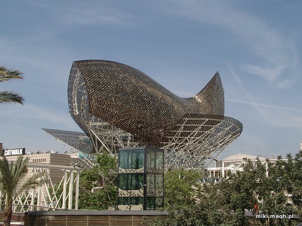 Strange statuses in Barcelona