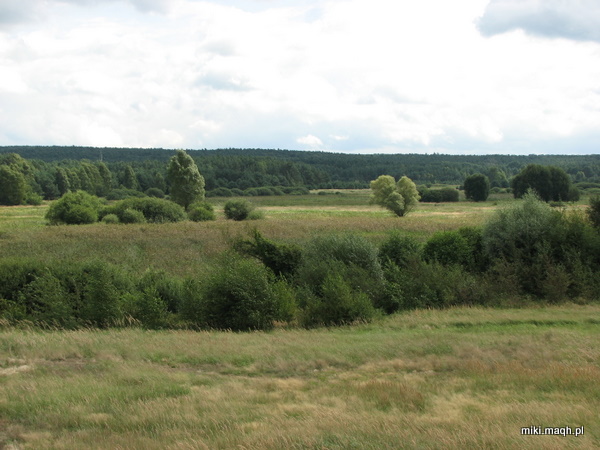 Green, green Poland Green, green Poland