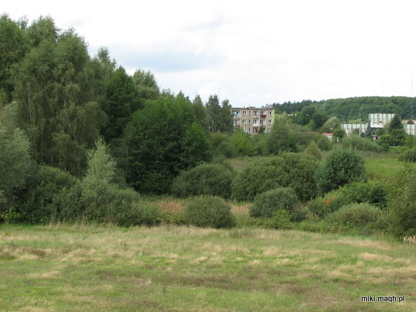 Green, green Poland Green, green Poland
