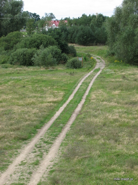Green, green Poland Green, green Poland