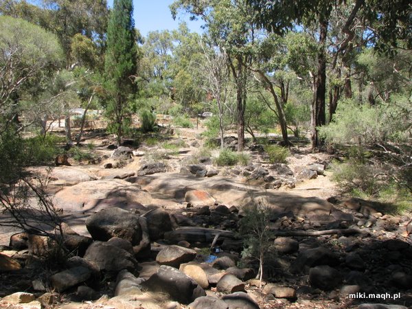 John Forrest National Park