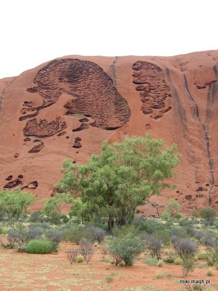 Uluru / Ayers Rock