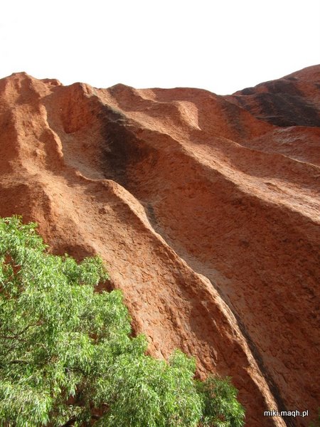 Uluru / Ayers Rock