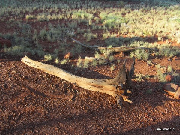 Kata Tjuta / The Olgas