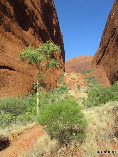 Kata Tjuta / The Olgas