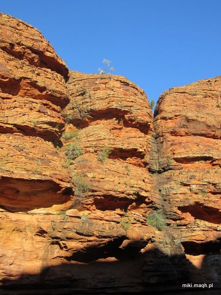 King's Canyon