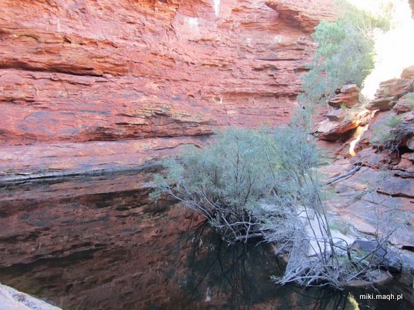 King's Canyon