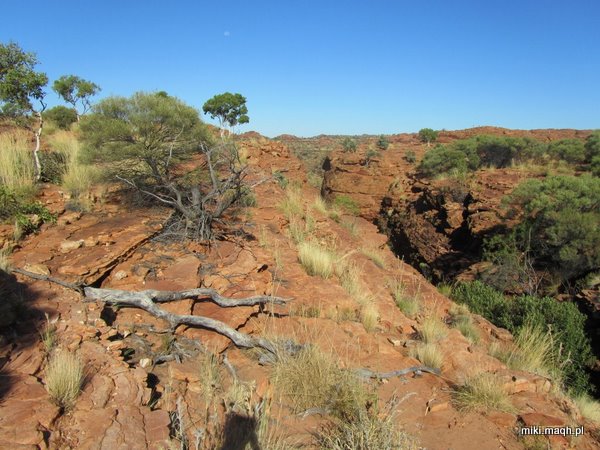 King's Canyon